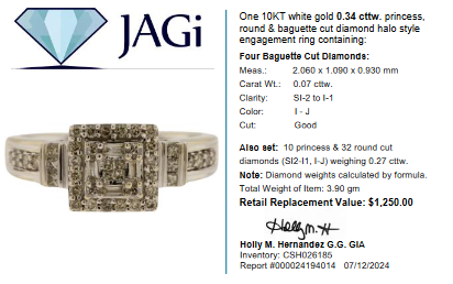 10KT White Gold 0.34 cttw Princess, Round & Baguette Cut Diamond Halo Engagement