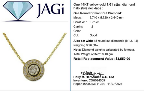 14K Yellow Gold 1.01cttw. Diamond Halo Style Necklace